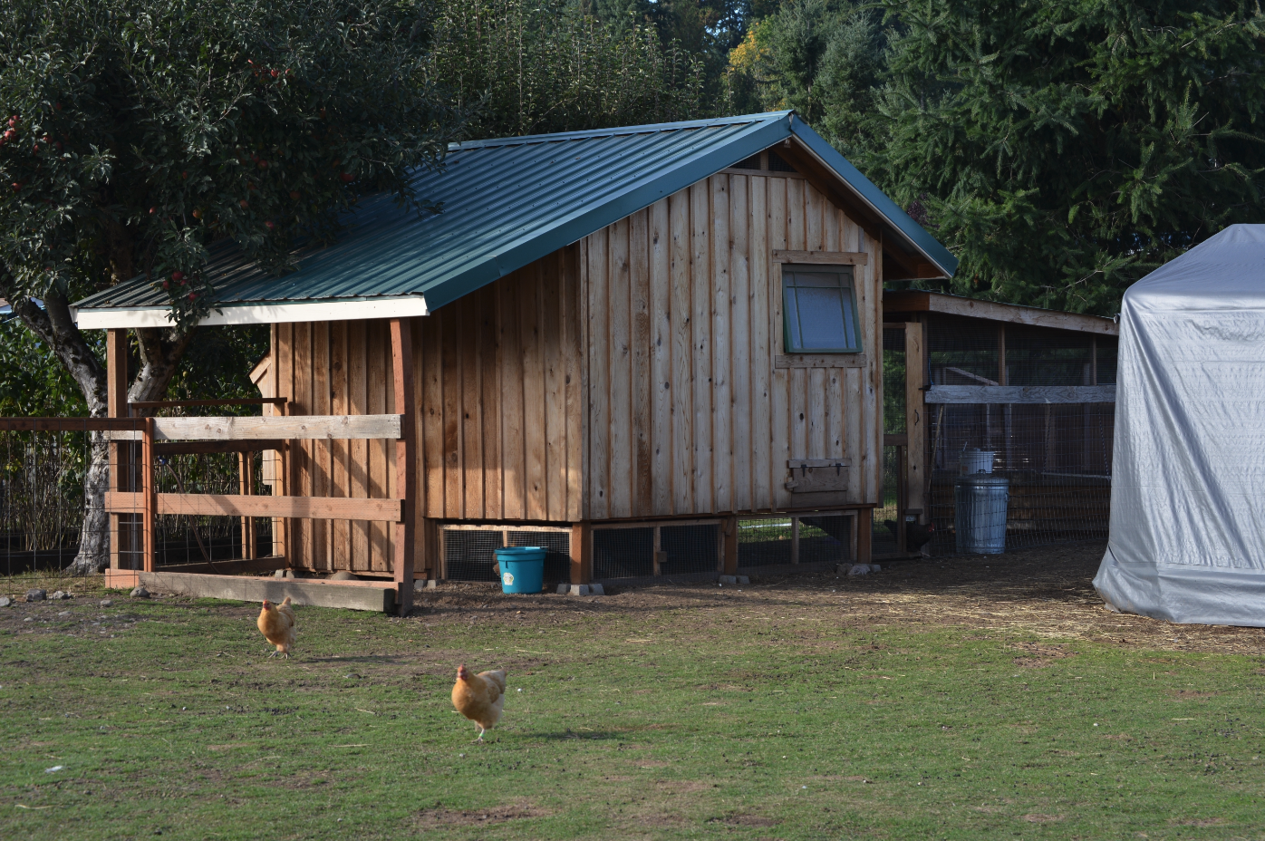 What Makes the Best Chicken Coop?