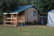 What Makes the Best Chicken Coop?